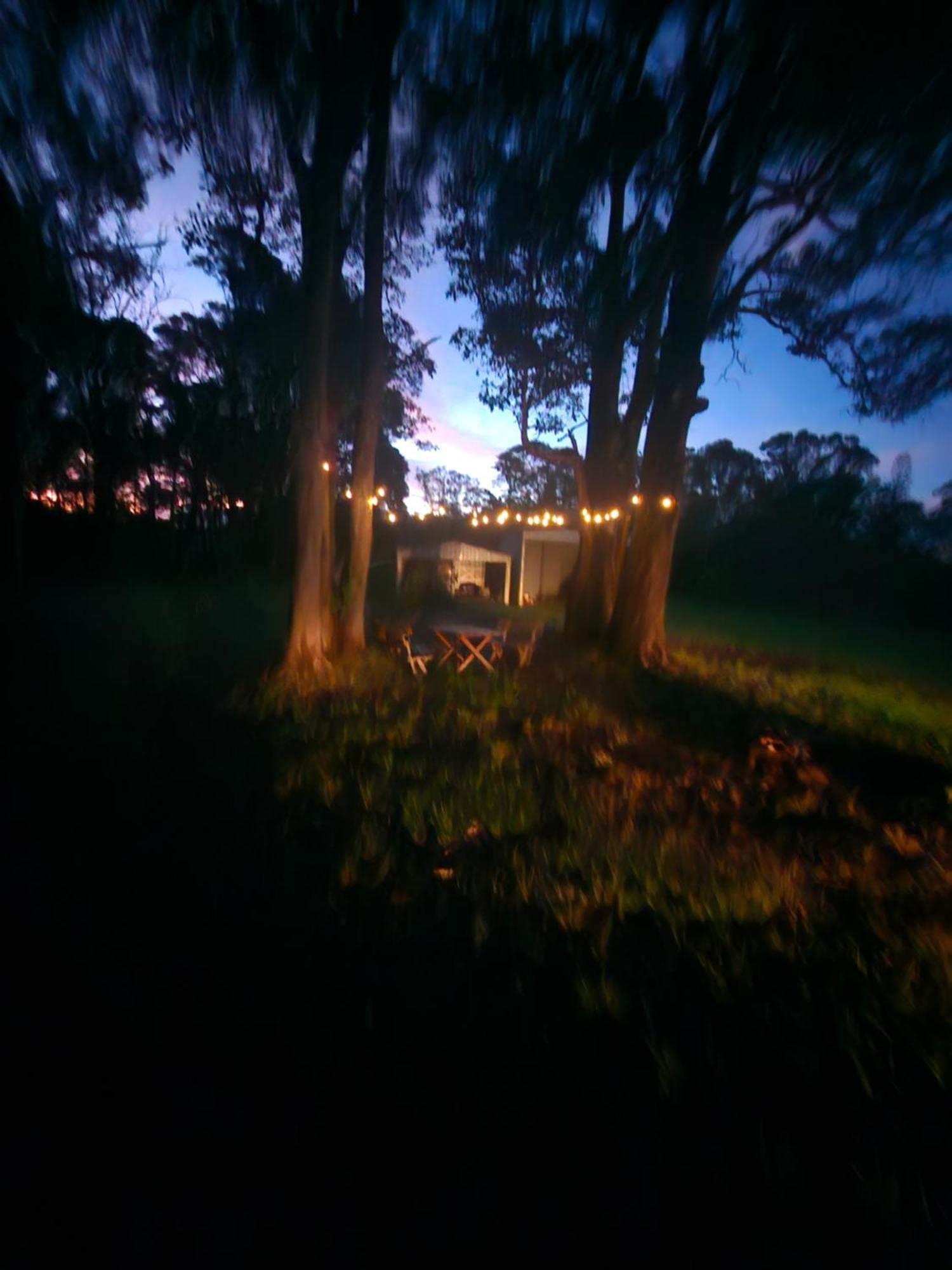 Country Cottage Sunshine Coast Montville Exteriér fotografie